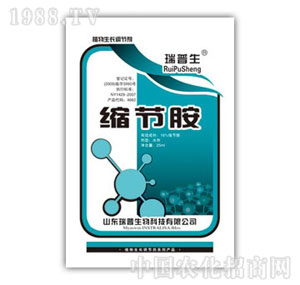 ������-�s��(ji��)��