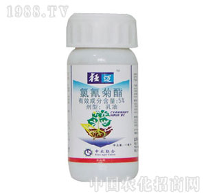 ���r(n��ng)(li��n)��-���~