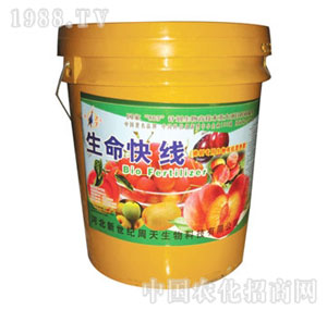 ����-�����쾀