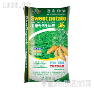 ����-���팣�������