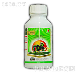 �Z����-���V��