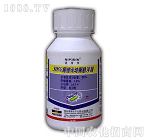 �Z����-���S������N2