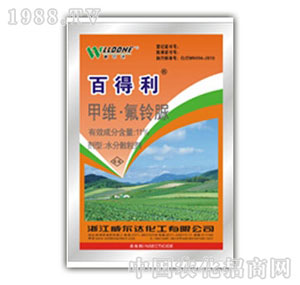 �����_-11%�׾S�����