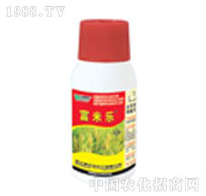 �����_(d��)-���ט�