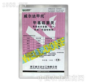 �����_(d��)-����