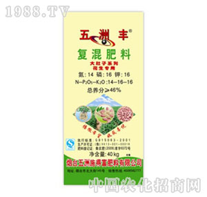 �����S-46%�ͻ���ϻ�������