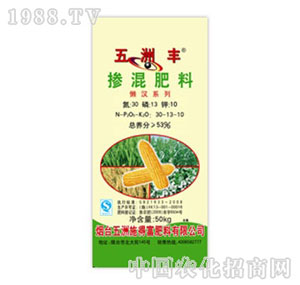 �����S-53%�������