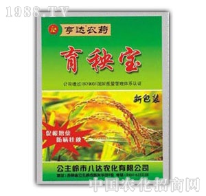 ���_-���팚