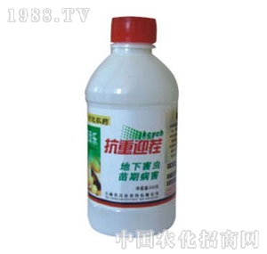 ���_(d��)-���혷