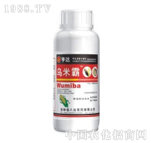 ���_(d��)-���װ�