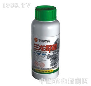 ���_-����Ⱥ��