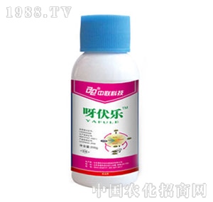 �������r(n��ng)-ѽ����(l��)