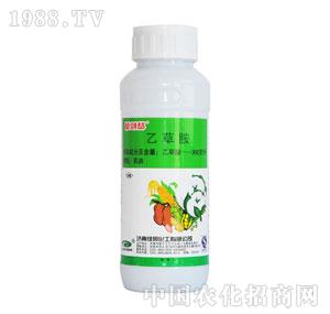 �G���-�݄���