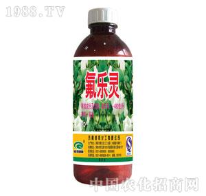 �G���-����(l��)�`