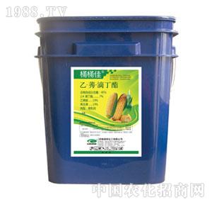 �G���-ͰͰ��