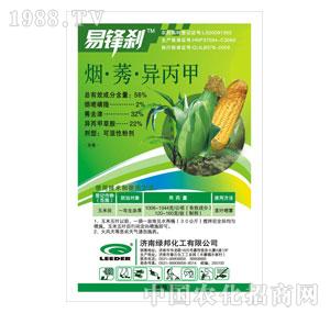 �G���-���h�x