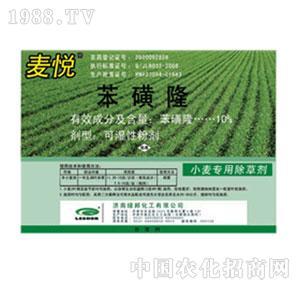 �G���-��������¡