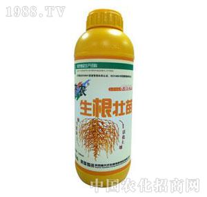 ��(j��)�r(n��ng)-��������