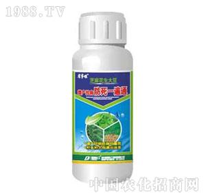 �²�����-����һ��ͨ