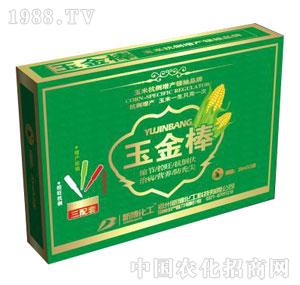 �²�����-����