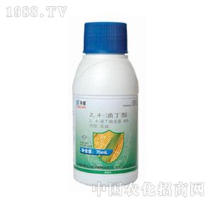 �A��-80%2��4���ζ���EC