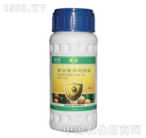 �A��-62%�ݸ�좮������}AS���ݽ���