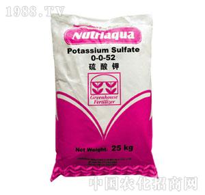 ��ͨ-�����