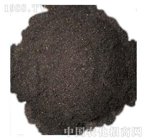 ����-�����Ɵ��݌��û���