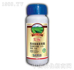 ����F(tu��n)-���(bi��o)