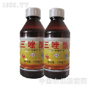 ����-����ͪ