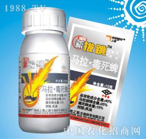 �ϸ�֮·-�°�����40%�R�����������ͣ�