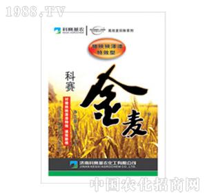 ��ِ���r(n��ng)-�������i��������ͣ�