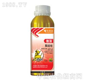 �G�S�r(n��ng)ˎ-��(d��)�