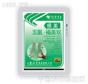 �G�S�r(n��ng)ˎ-����