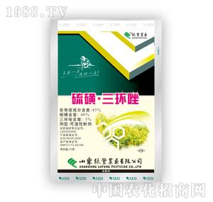 �G�S�r(n��ng)ˎ-������h(hu��n)��