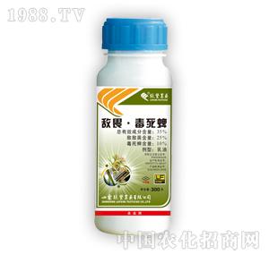 �G�S�r(n��ng)ˎ-��η������