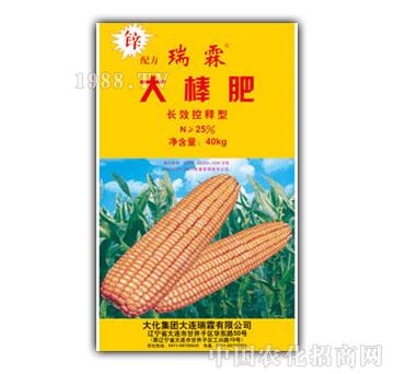 ����-�����