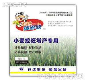 �r(n��ng)�_(d��)����-С��������