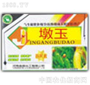 ��¶-����