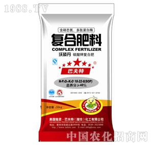 18-22-8���׵�