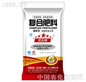 19-5-21�����S