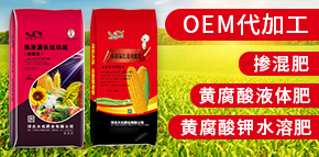 河北大化肥業(yè)有限公司