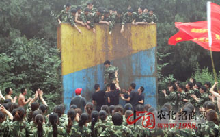 火爆網(wǎng)絡(luò)拓展訓(xùn)練之畢業(yè)墻