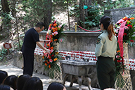 �𱬾W(w��ng)���^�S���ь�܊�ʾ����錢܊���I���@��